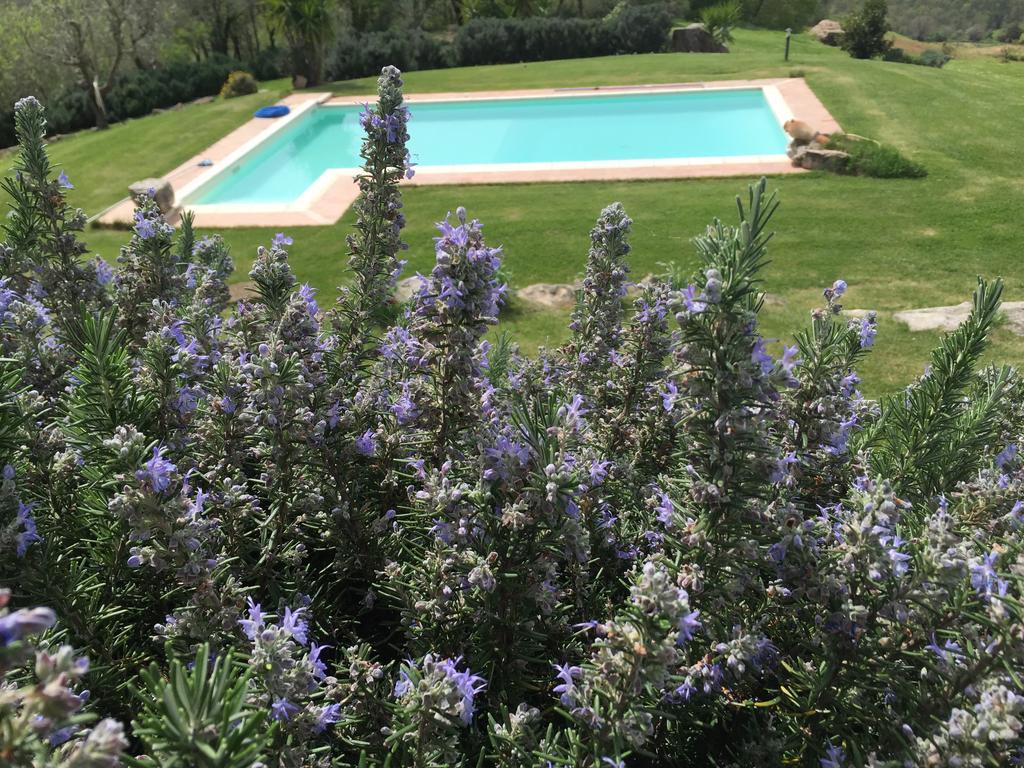 Agriturismo Podere S. Croce Saturnia Kültér fotó