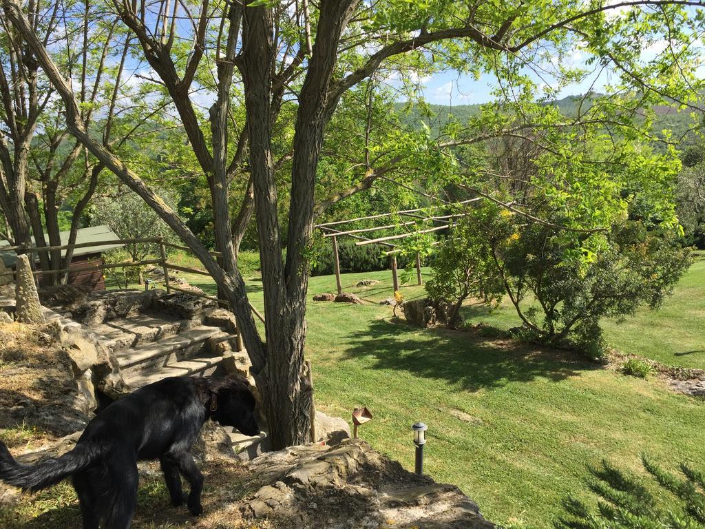 Agriturismo Podere S. Croce Saturnia Kültér fotó